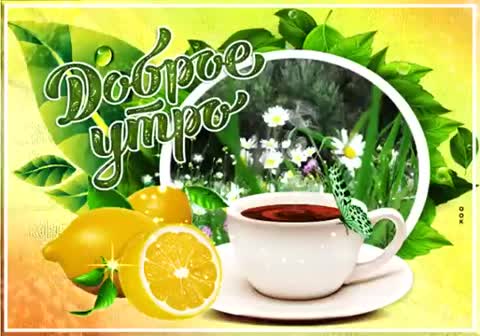 VID-20210522-WA0002-_im