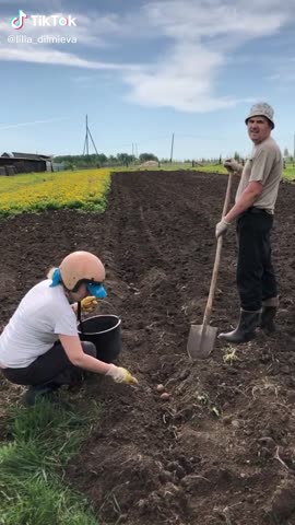 52cf644c77953eff8e75ded2918c7a8a