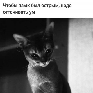 frazivsluh-___CPG-CFIj-W____-