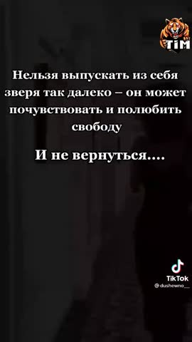 7d3077c830d088a6c460f1b8006993b1