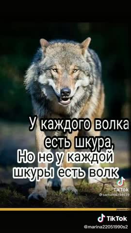 bc679d60938fb59159092967967a9b7d