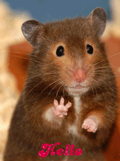 Myw_privetstvuet-_im