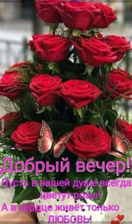 добрый вечер
