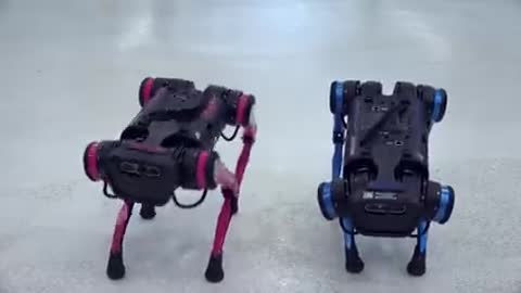 ПРЕМЬЕРА_НОВОГО_КЛИПА_2021__Танц_баттл__Роботы_VS_Девушки