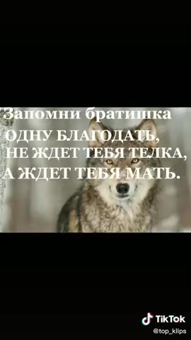 слышишь братишка