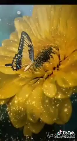 с дрбрым  утром