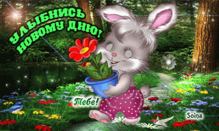 Улыбнись новому дню