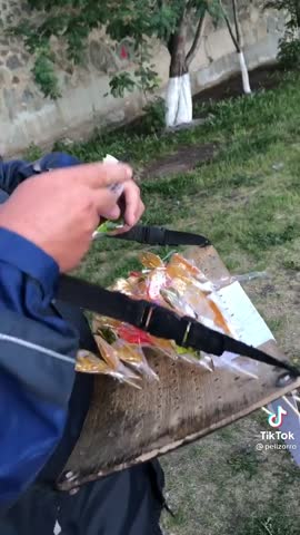 7084e1c9c40a58390856bf6d2425ad53