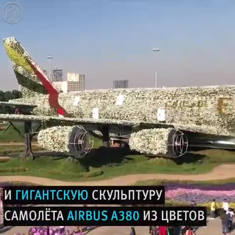 video-446e5d33ea2f3fde0075de6ab12b1797-V