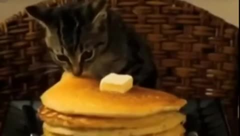 video-26a59f61dd05a71e0bee4974f09f8b11-V