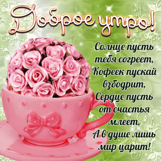 IUvQzjXV330