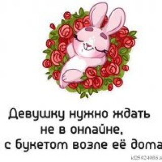 296590886_p_201_200_0