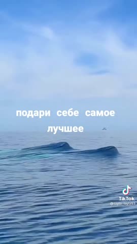 8ee52fb2b761f36864490e3f1e4b8f65