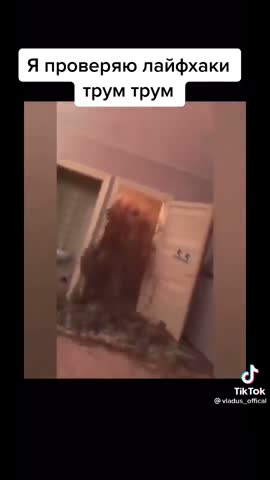 a759be4d4a48bab6a4e37ab7c3d4b516df5cb7d4934f52fc45e0e2ca8f80e733_1