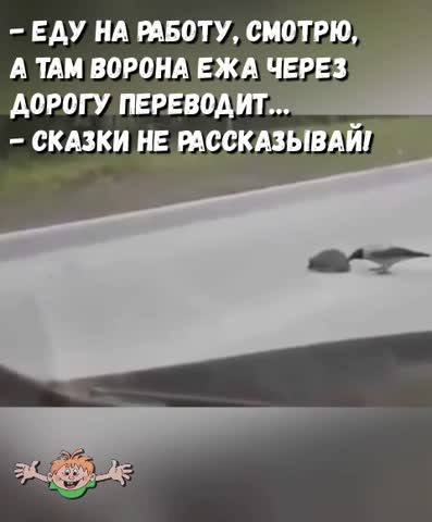 video-5f1be258a6a640d66f948500092a617a-V