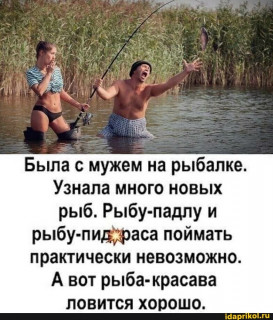 355e0314c6f0dd4ceb54513f6b61ba4e852bd4064a21fc36673a0aceaeb23ad2_1