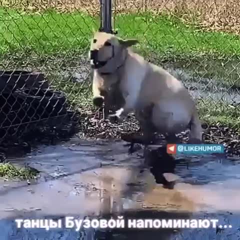i_1