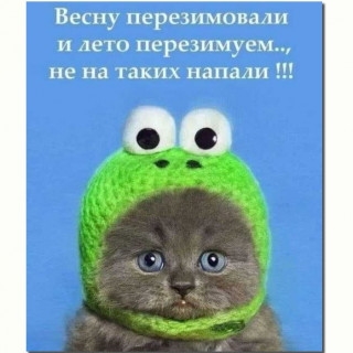 w77f5T-yPx4