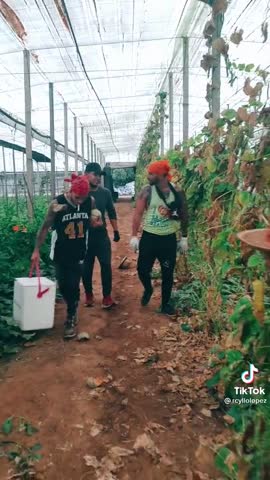 a48b0443915aef407837e0b602e9e2d2