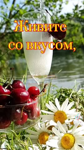 a6b50ffc23b675d8599a7630acd57bb8