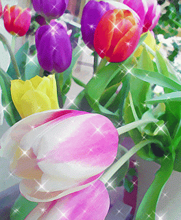 IMG_20210615_163025_67