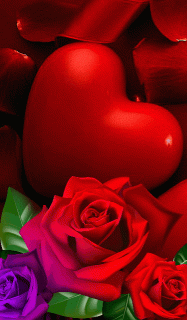 IMG_20210616_131238_41