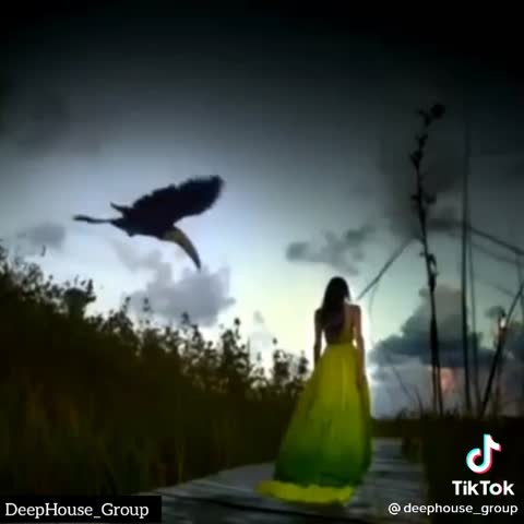 531b1fc303c451777262098e3ee515b6