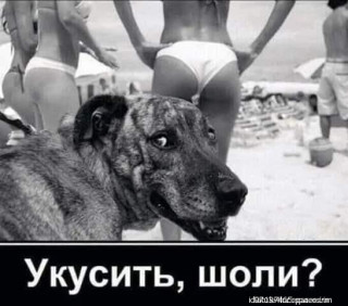 Kusit_woli-___-_im-_im