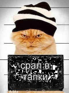 Рецидивист