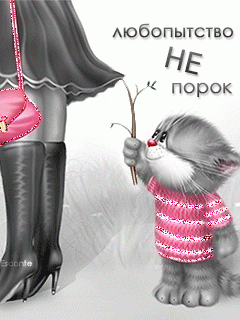 Любопытство