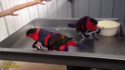 Это_лучший_концерт_в_истории_рок-музыки_1