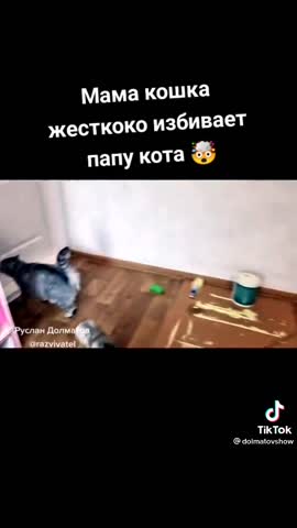 28fd9eb30fc316f9cea31a918ab0e76a