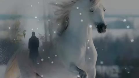 X_Husnutdinov-Sudba_-_im