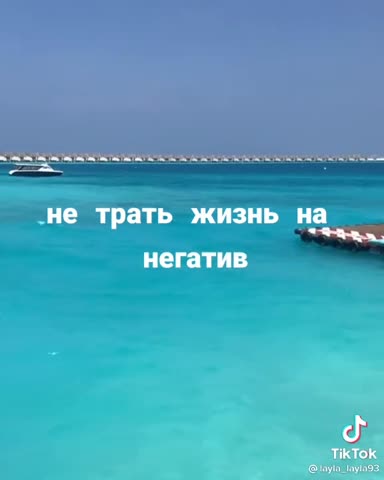 9188ec989435eaae4eccfc5addd2f9d7