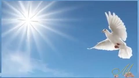 Pozhelanie_dzjam-_im