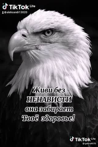 2021-06-26-144413623