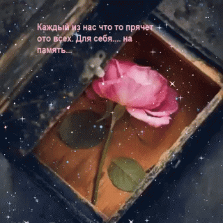 IMG_20210623_213208_30