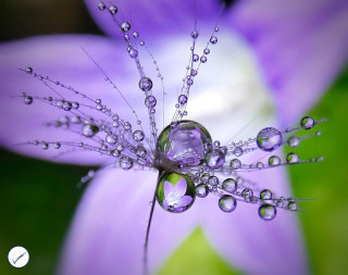 drops_perfection-___CQlypTBFcIj___-