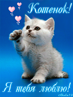 Котенок_Я_тебя_люблю