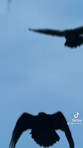 0b30b0aaaa4570b72cc0c05363125900