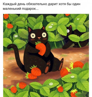 tatiana_4834-___CQpZtkUMf6c___-
