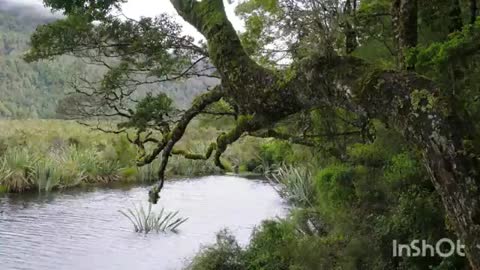 LJuBX_-_A_REKA_TEChJoT-ss_im