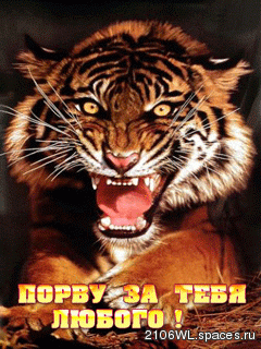 порву за тебя любого