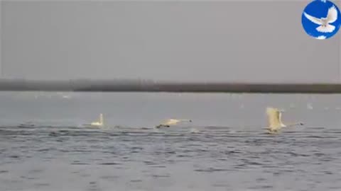 сказочно_красивое