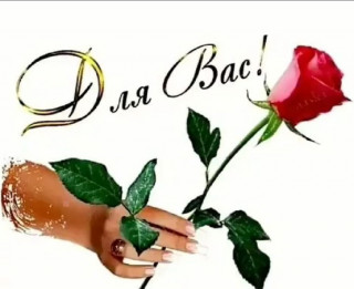 8JDA80lN2M4