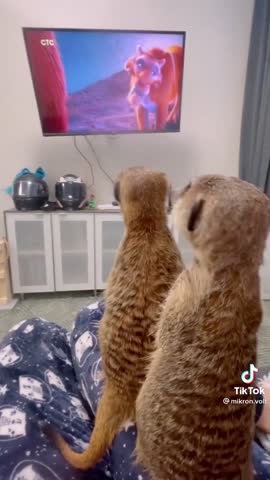 de4d6506e7891922b765e6335cf1975b