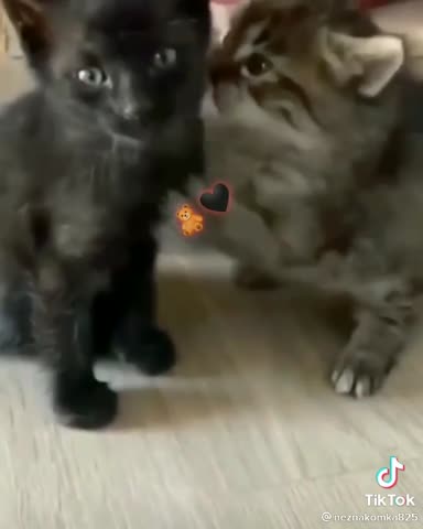 ded8fa7c7a4f2f4d24d59b7f0c01fb9f