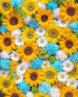 igscflowers-___CQ8jZfopU___-