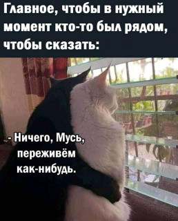 IMG-256c383b27fba37cdc6a32544aebe10d-V