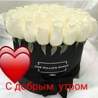 С_Добрым_утром